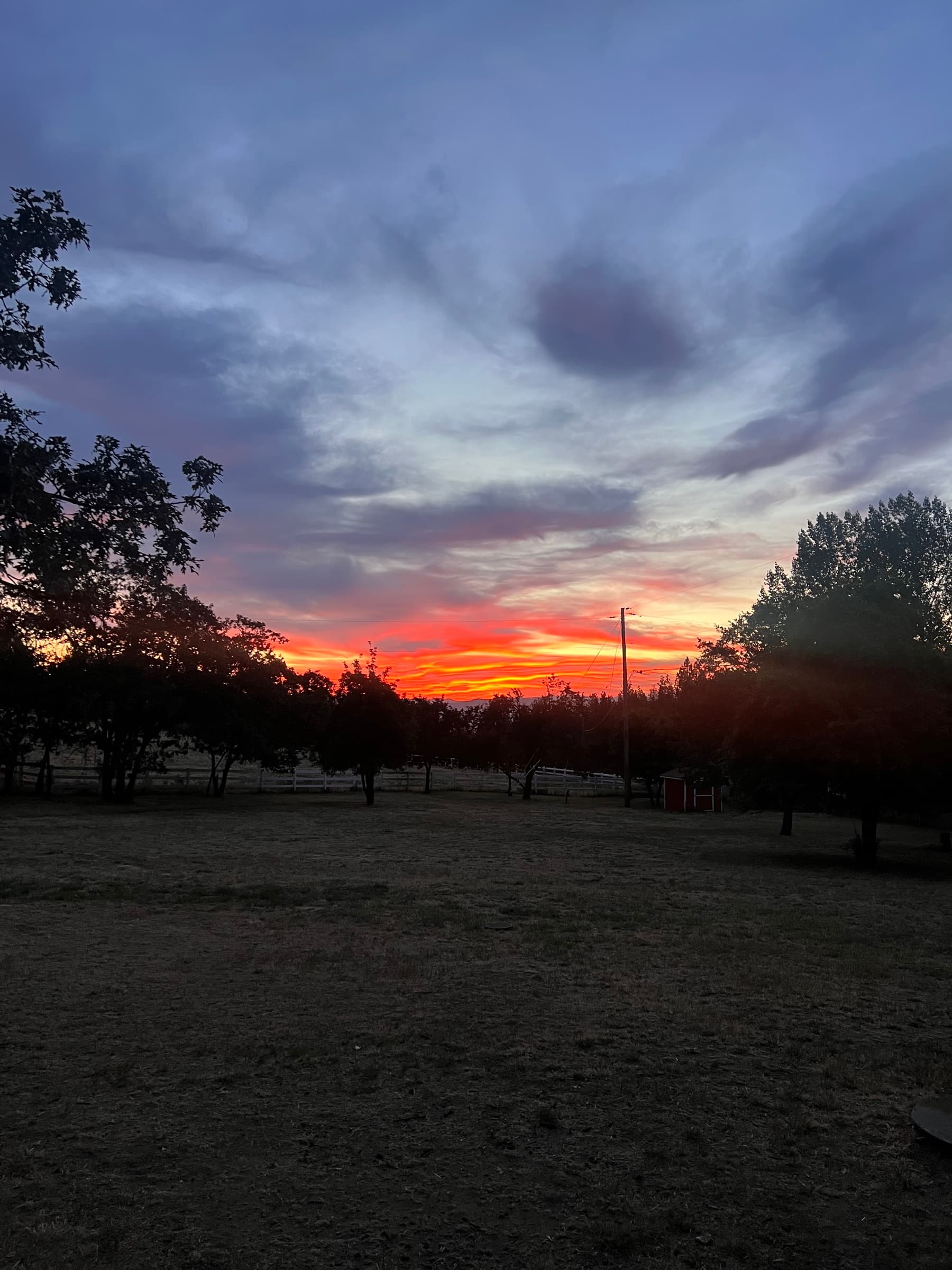 A vivid orange and red sunset glows behind silhouetted trees and a white fence in a field