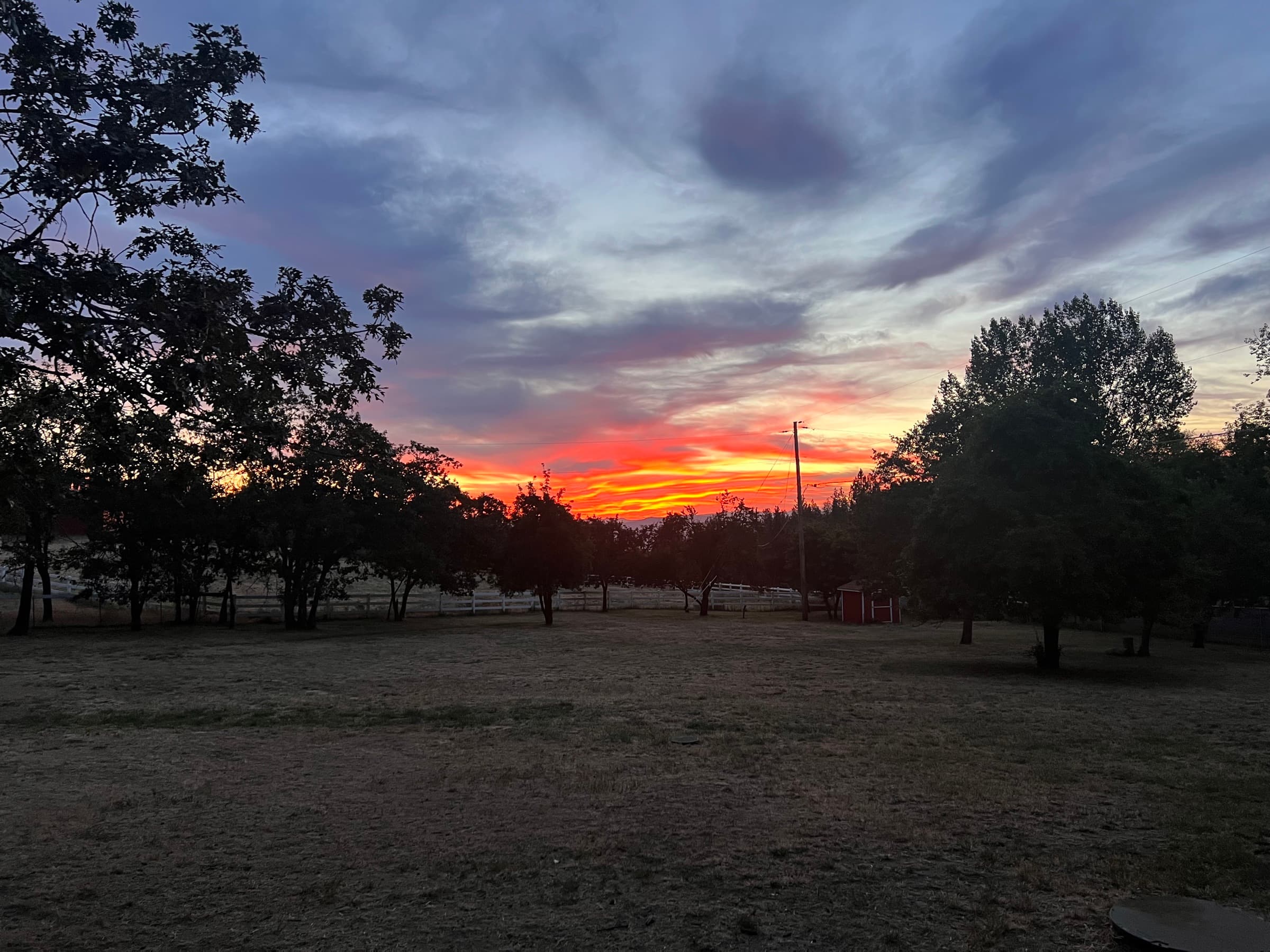 A fiery orange sunset lights up the horizon behind trees, a white fence, and a small red shed